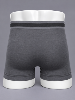 Kit 10 Cuecas Boxer Masculina Adulto Sem Costura Microfibra Scanner